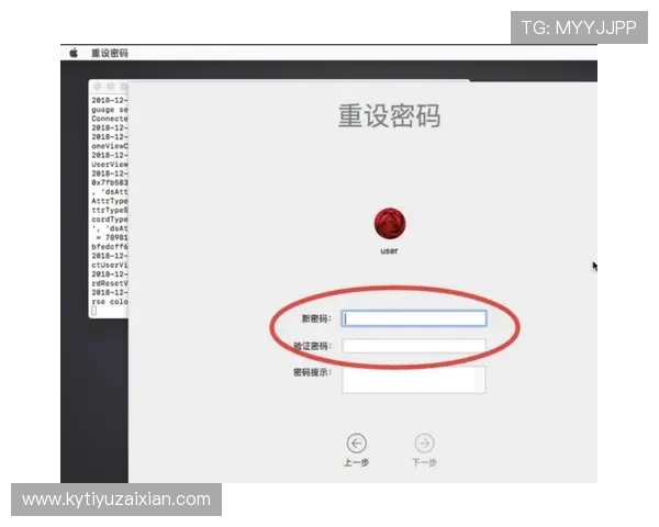 开云官方官网登陆入口账号密码重置流程,帮助用户快速找回登录权限